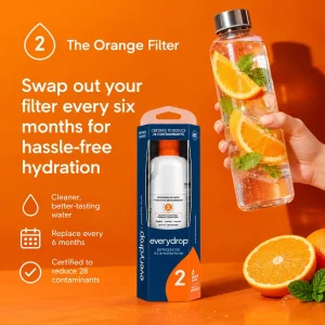 everydrop Filter 2 EDR2RXD1 orange filter, replace every 6 months